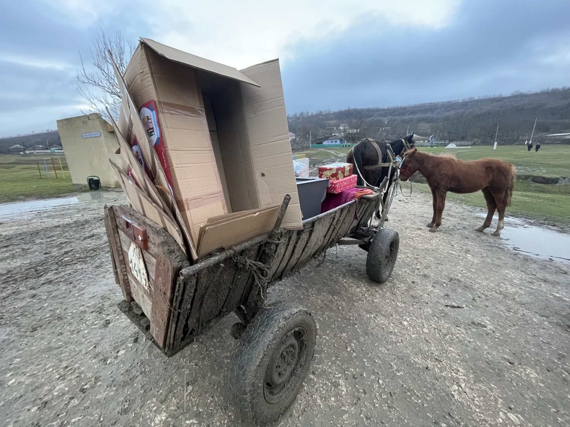 Shoebox Appeal - Horse & Cart