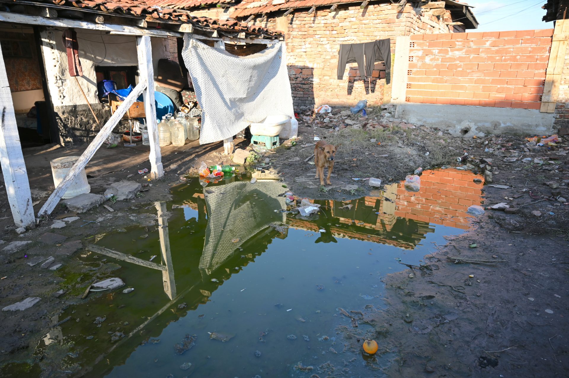 Shoebox Delivery Team Link to Hope Shoebox Delivery Team Link to Hope