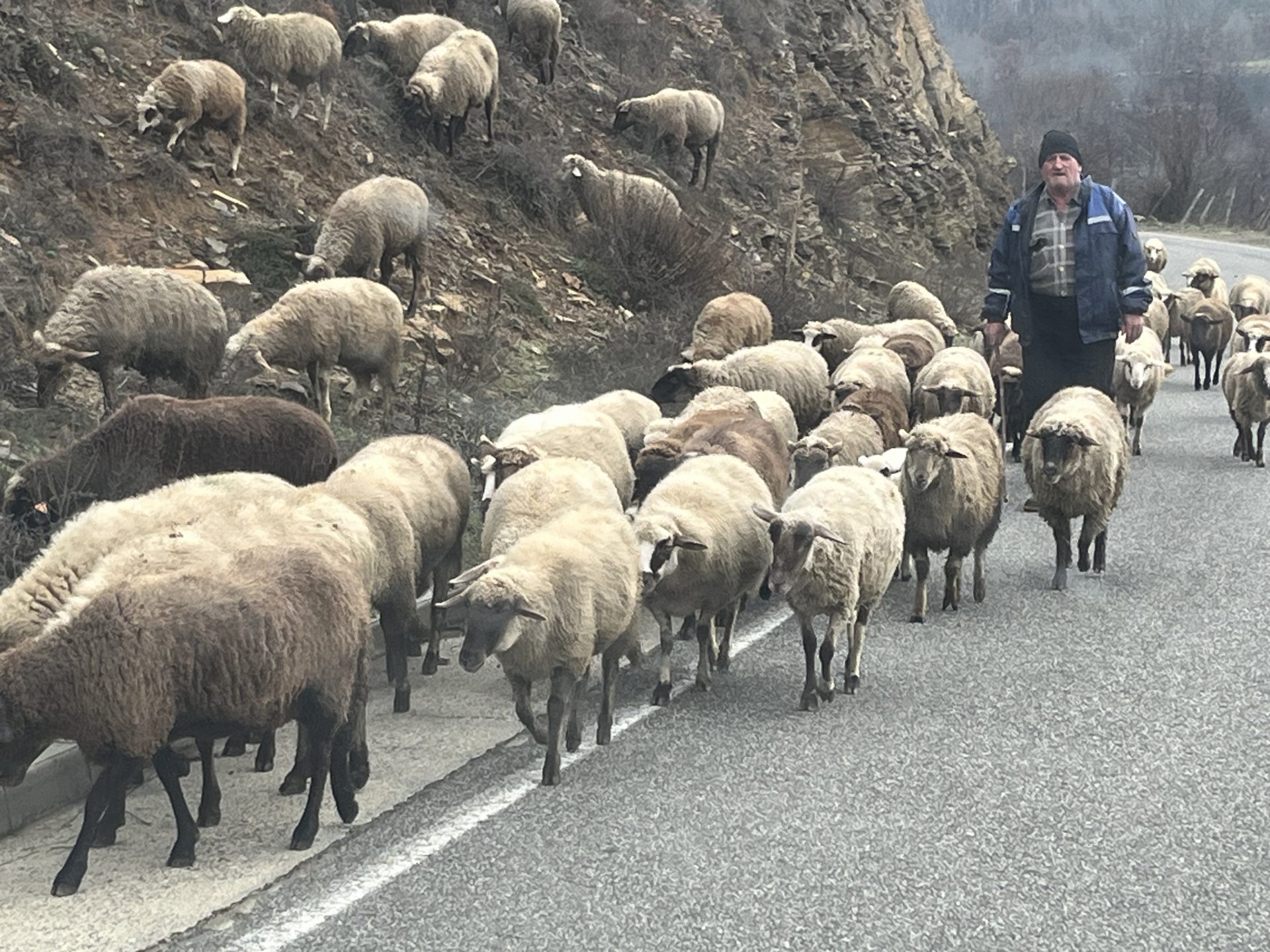 Shoebox Delivery Team – Link to Hope Shoebox Delivery Team - Link to Hope