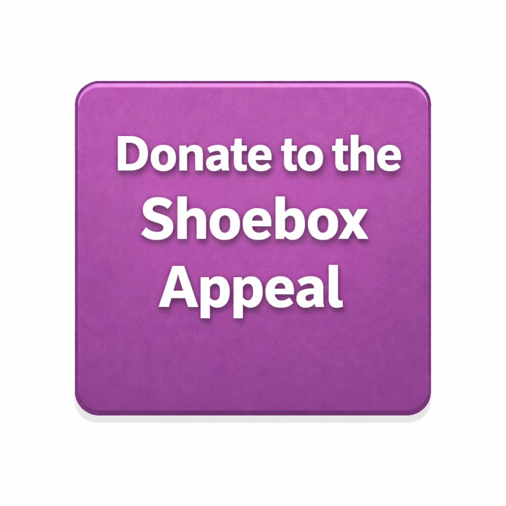 Donate to the Shoebox Appeal Link to Hope