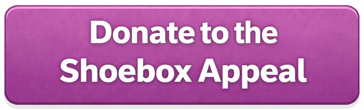 Donate to the Shoebox Appeal